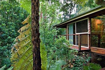 Kondalilla Eco Resort - Accommodation Australia 23