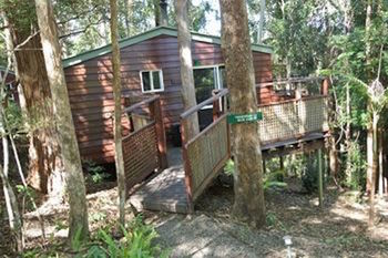 Kondalilla Eco Resort - Accommodation Australia 27