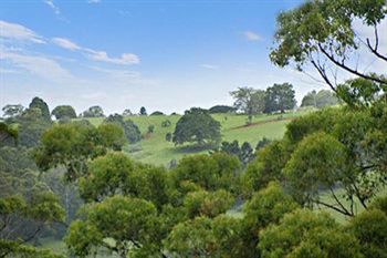 Kondalilla Eco Resort - Accommodation Australia 28