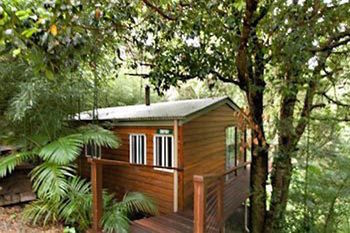 Kondalilla Eco Resort - Accommodation Australia 35