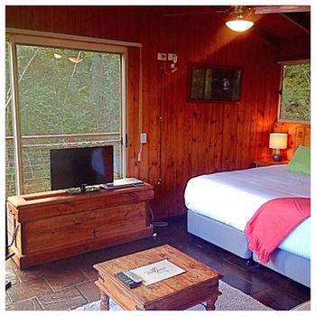 Kondalilla Eco Resort - Accommodation Australia 50