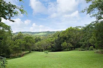 Kondalilla Eco Resort - Accommodation Australia 97