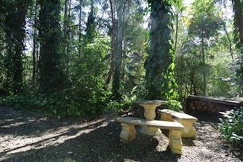 Kondalilla Eco Resort - Accommodation Australia 98