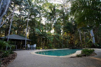 Amore On Buderim Luxury Rainforest Cabins - Local Tourism 17