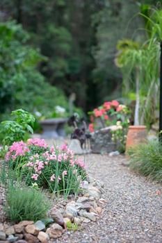 Noosa Valley Manor B&B Retreat - Accommodation Australia 12
