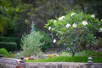 Noosa Valley Manor B&B Retreat - Accommodation Australia 13