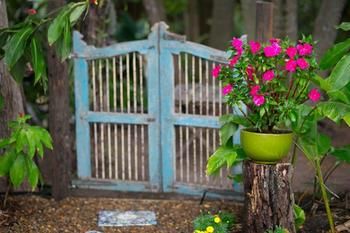 Noosa Valley Manor B&B Retreat - Accommodation Australia 30