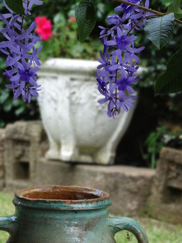Noosa Valley Manor B&B Retreat - Accommodation Australia 31
