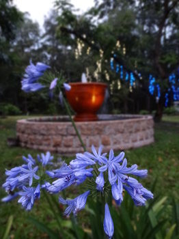 Noosa Valley Manor B&B Retreat - Accommodation Australia 34