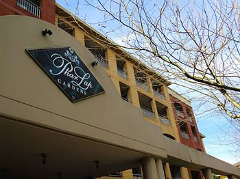 Waldorf Randwick Serviced Apartments - Accommodation Australia 5