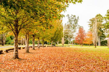 Retreat At Wisemans - Local Tourism 12
