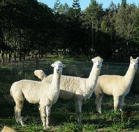 Blackwattle Farm BampB and Farm Stay - Australia Shopping