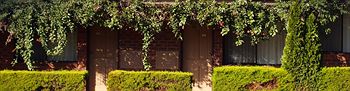 Nunawading Motor Inn - Accommodation Australia 30