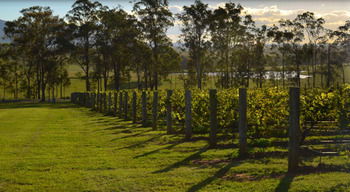 H Boutique Hotel - Accommodation Australia 34