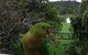 Australian Home Away @ Wonga Park Brushy Creek - thumb 2
