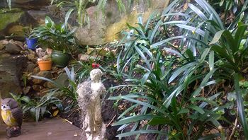 Linley House Bed & Breakfast - Accommodation Australia 4