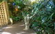 Linley House Bed & Breakfast - thumb 5