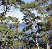 The Edgewater Bed amp Breakfast - Accommodation Australia