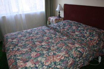 Carnegie Motor Inn - Local Tourism 29