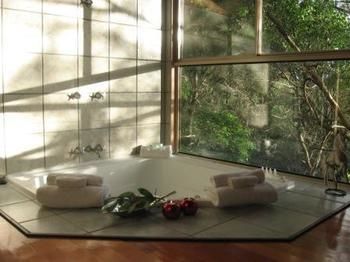 Belle's At Montville - Accommodation Australia 13