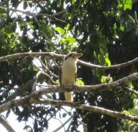 Sunshine Valley Cottages - Local Tourism