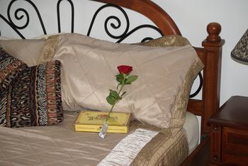 Kingfishers Manor @ Noosa - Local Tourism 16