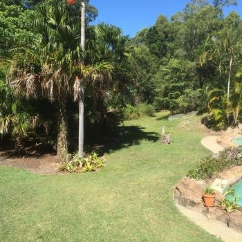 Kingfishers Manor @ Noosa - Local Tourism 30