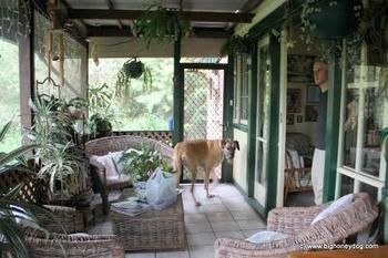 Hamilton Heritage B&B - Accommodation Australia 2