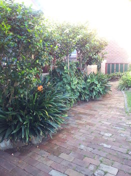 Hamilton Heritage B&B - Accommodation Australia 14