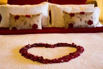 Montville Misty View Cottages - Accommodation Australia 10