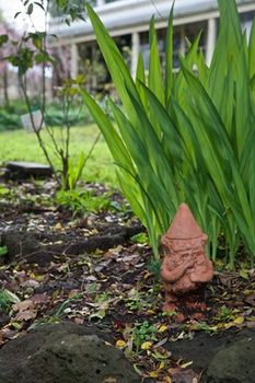 Holly Lane Mews - Accommodation Australia 4