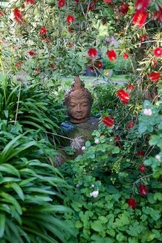 Holly Lane Mews - Accommodation Australia 37