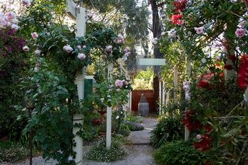 Holly Lane Mews - Accommodation Australia 40