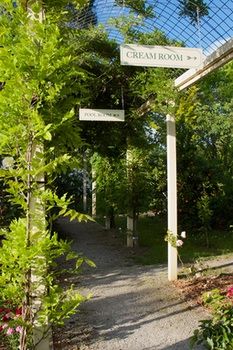 Holly Lane Mews - Accommodation Australia 45