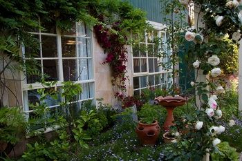 Holly Lane Mews - Accommodation Australia 46