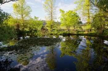 Holly Lane Mews - Accommodation Australia 58