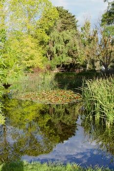 Holly Lane Mews - Accommodation Australia 59