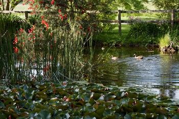 Holly Lane Mews - Accommodation Australia 61
