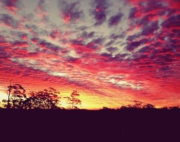 The Spotted Chook - Accommodation Australia 15