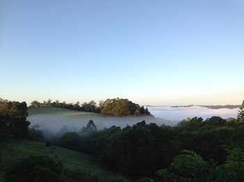 The Spotted Chook - Accommodation Australia 16