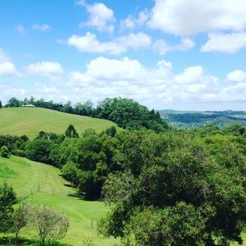The Spotted Chook - Accommodation Australia 23