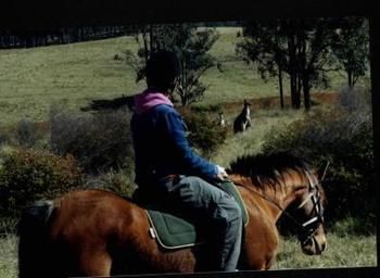 Hill Top Country Guest House - Accommodation Australia 4