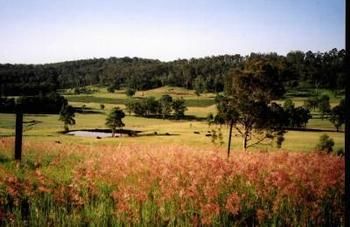 Hill Top Country Guest House - Accommodation Australia 10