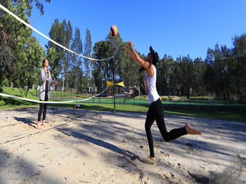 BIG4 Karuah Jetty Holiday Park - Local Tourism 30