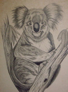 Sandholme Guesthouse - Accommodation Australia 24