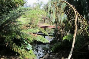 Cherryblossom B&B - Accommodation Australia 5