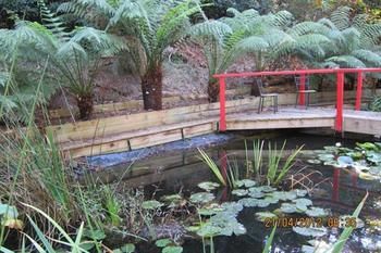 Cherryblossom B&B - Accommodation Australia 7