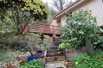 Cherryblossom B&B - Accommodation Australia 12