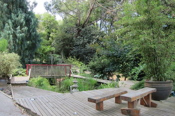 Cherryblossom B&B - Accommodation Australia 21