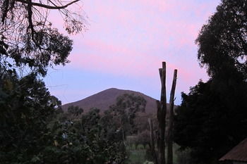 Cherryblossom B&B - Accommodation Australia 35